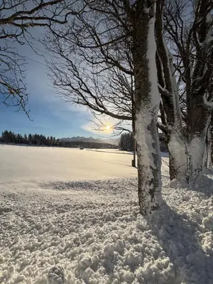 Haus Sonnleitner Studio Rittisberg im Winter