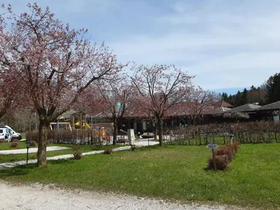Ein Garten an der Unterkunft Campingfass Almtal