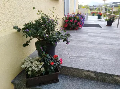 Ein Garten an der Unterkunft Haus Amalia