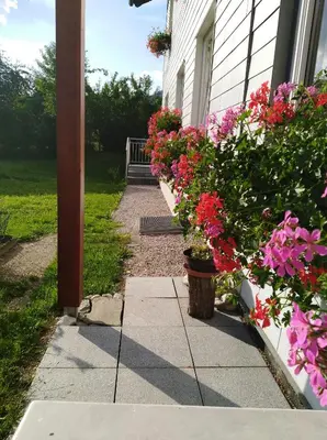 Ein Garten an der Unterkunft Haus Amalia