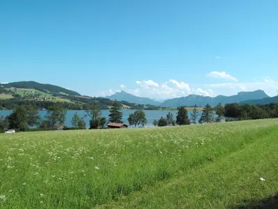 Naturlandschaft in der Nähe der Ferienwohnung