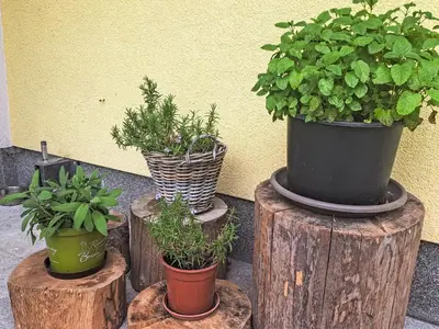 Ein Garten an der Unterkunft Apartment Waldfrieden by Interhome