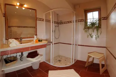 Ein Badezimmer in der Unterkunft Appartement Zechmann Rohrmoos