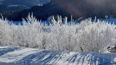 Appartement Twin Peak Edelweiss im Winter