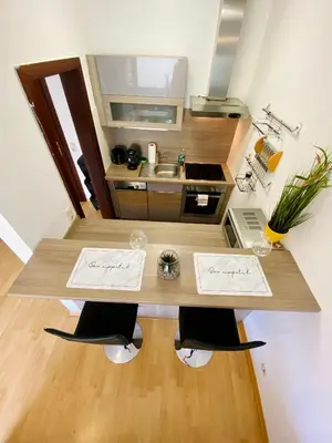 Küche/Küchenzeile in der Unterkunft Schafberg nahe Zentrum Einzimmer Ferienwohnung