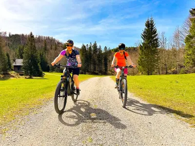 Radfahren an der Unterkunft Appartement Bergmann oder in der Nähe