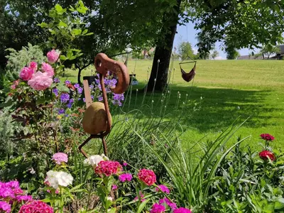 Ein Garten an der Unterkunft Pension Holzapfel
