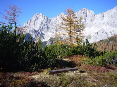 Naturlandschaft in der Nähe der Ferienwohnung