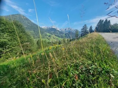 Naturlandschaft in der Nähe des Bed & Breakfasts