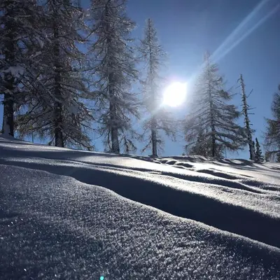 Appartement Ski-Willy im Winter