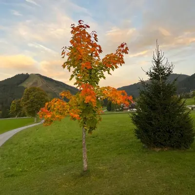 Naturlandschaft in der Nähe der Ferienwohnung