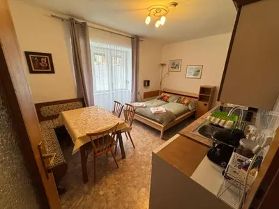 Küche/Küchenzeile in der Unterkunft Steinadler Apartments Quiet Location Garden, Private Parking Pet Friendly