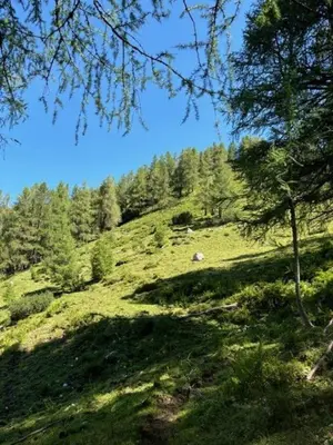 Naturlandschaft in der Nähe der Ferienwohnung