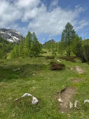 Naturlandschaft in der Nähe der Ferienwohnung