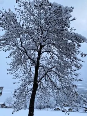 Grossbergblick im Winter