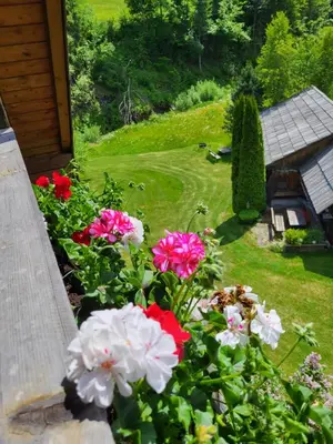 Ein Garten an der Unterkunft Appartements Höller