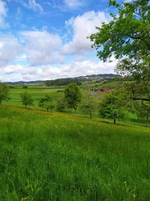 Naturlandschaft in der Nähe der Ferienwohnung
