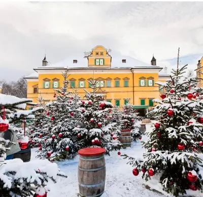 Ferienhaus Wimmer im Winter