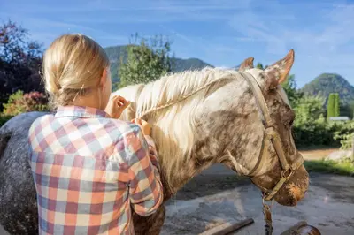 Tiere im Aparthotel oder in der Nähe