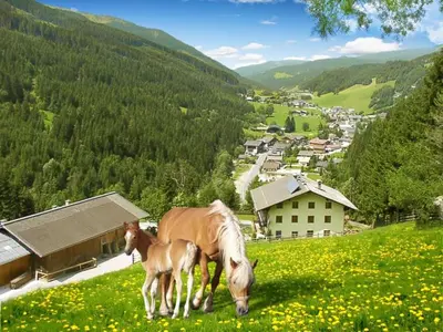 Naturlandschaft in der Nähe der Ferienwohnung