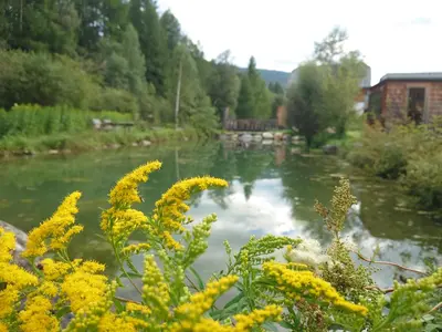 Naturlandschaft in der Nähe der Ferienwohnung
