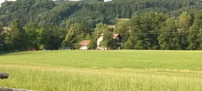 Naturlandschaft in der Nähe der Ferienwohnung