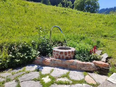 Ein Garten an der Unterkunft Reithütte