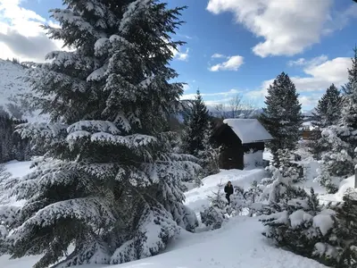 Haus Grimmingblick im Winter