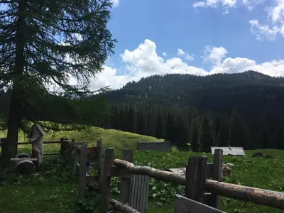 Naturlandschaft in der Nähe des Bed & Breakfasts