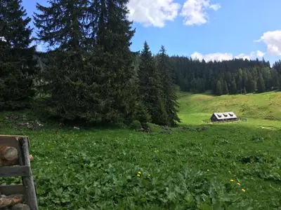 Naturlandschaft in der Nähe des Bed & Breakfasts