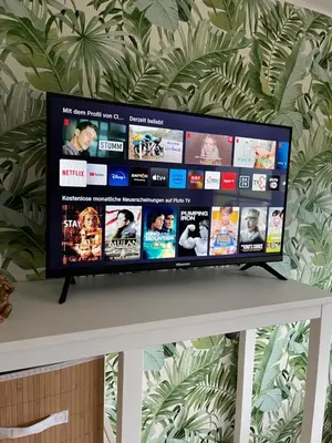TV/Unterhaltungsangebot in der Unterkunft Almsternderl 2.0 - gemütliches Appartment in Gosau