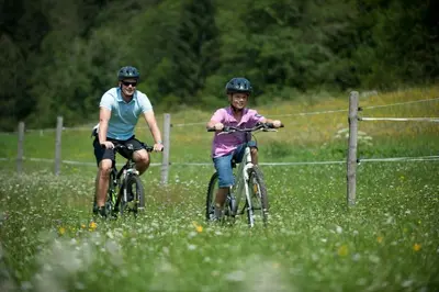 Gäste, die in der Unterkunft Happy Camp Mobile Homes in Camping Bella Austria übernachten