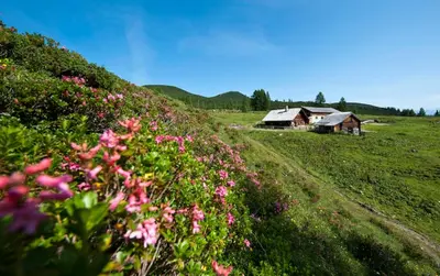 Naturlandschaft in der Nähe des Ferienhauses