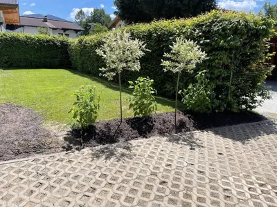 Ein Garten an der Unterkunft Ferienhaus Altenmarkt