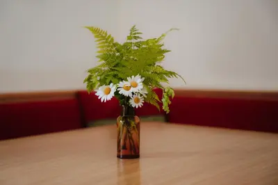 Grundriss der Unterkunft Spreitzhof - Appartements