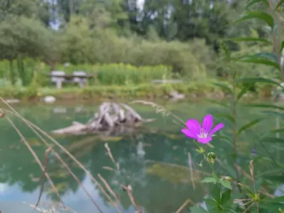 Naturlandschaft in der Nähe der Ferienwohnung