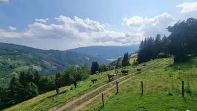 Naturlandschaft in der Nähe des Ferienhauses