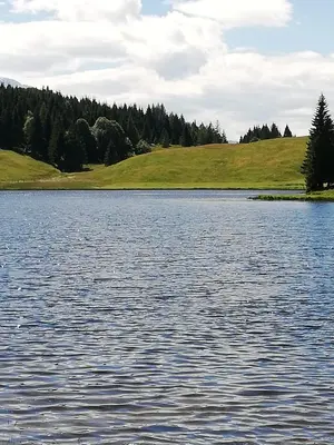 Naturlandschaft in der Nähe der Ferienwohnung
