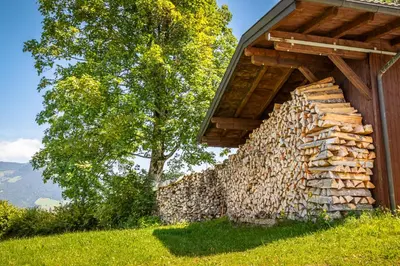 Naturlandschaft in der Nähe der Ferienwohnung