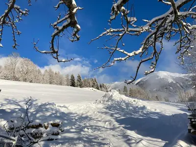 FW Aussicht Fam Sigl im Winter