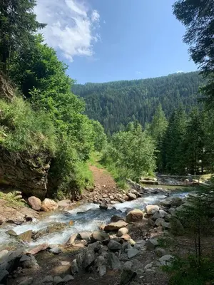 Grundriss der Unterkunft Alpengasthof Tanzstatt