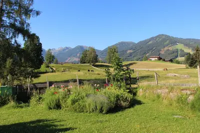 Naturlandschaft in der Nähe der Ferienwohnung