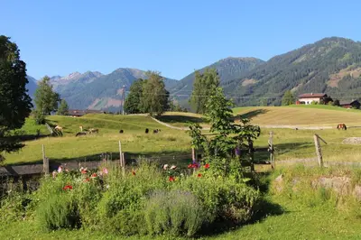 Naturlandschaft in der Nähe der Ferienwohnung
