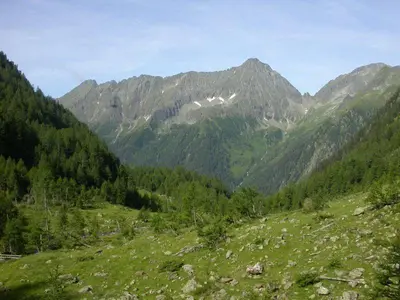 Naturlandschaft in der Nähe der Ferienwohnung