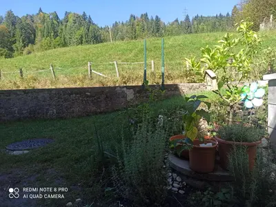 Ein Garten an der Unterkunft Apartment Gimpelchen