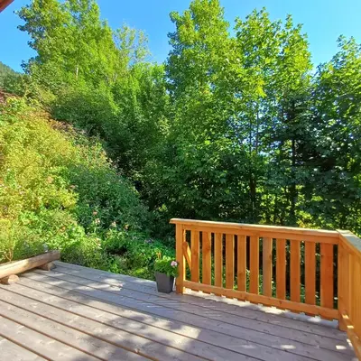 Ein Garten an der Unterkunft Tiny House am Steinergut