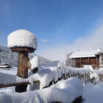 Tiny House am Steinergut im Winter