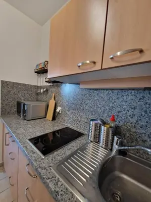 Küche/Küchenzeile in der Unterkunft Appartement 214 in Bad Goisern