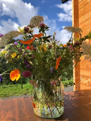 Ein Garten an der Unterkunft Lärchenhaus ,,Unterer Brodl
