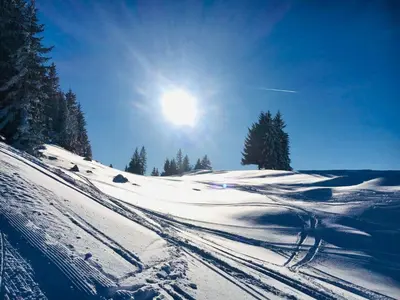 Apartment 3 Tannen im Winter